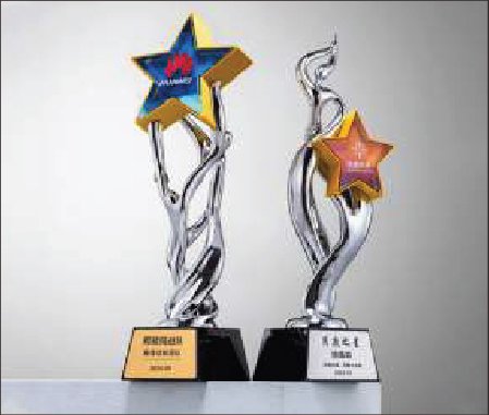 Cúp Ngôi Sao Vươn Cao – Biểu Tượng Của Tỏa Sáng & Thành Công